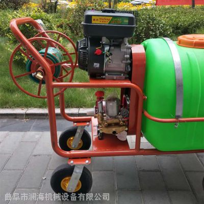 多功能汽油喷雾器 高压远程喷药机 打药喷雾机
