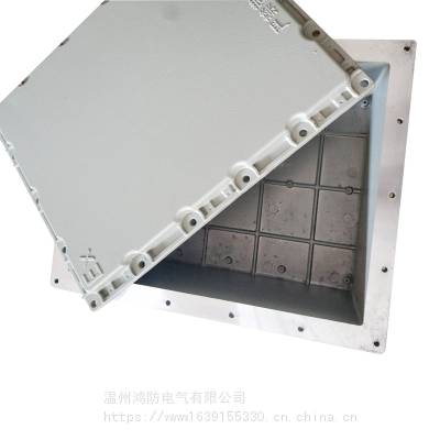 防爆接线箱 增安型接线箱 400*500 300*400 不锈钢 钢板焊接都可定制