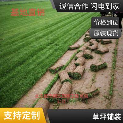 延庆户外草坪铺装高羊茅草坪屋顶花园绿化屋顶花园设计户外施工