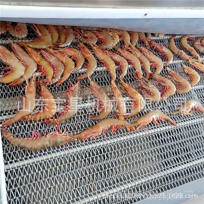 小型饺子隧道式速冻机 定制包子生产线厂家 冷冻食品加工设备