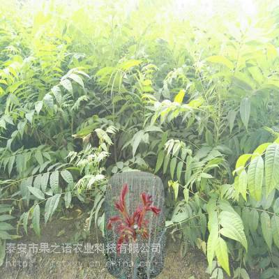 㴻硢ɹ1㴻Դ