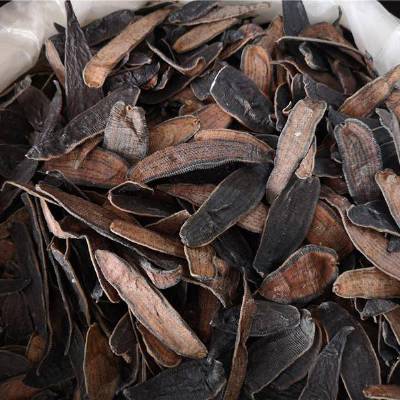 水蛭药用有什么价值蚂蝗蜞哪里可以购买到多少钱一公斤