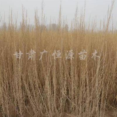 ½ 5000һ Բ 