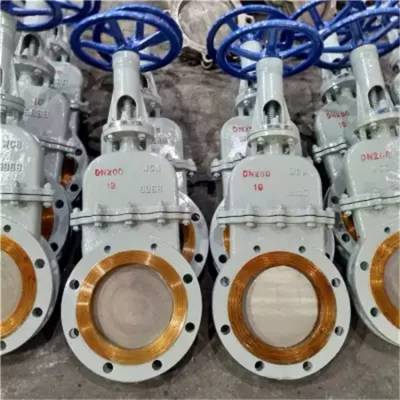 DMZ73X-10P DN300 ְֲ˵բˮˮբ