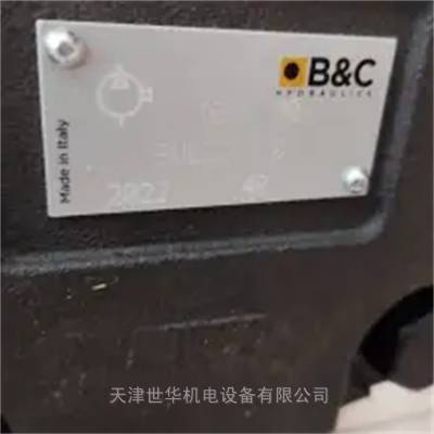 意大利B&C 循环泵BG2026STOGT80EE5D00