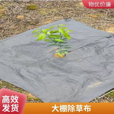 生态防草布 大棚切片打孔PP/pe除草布 园艺地钉