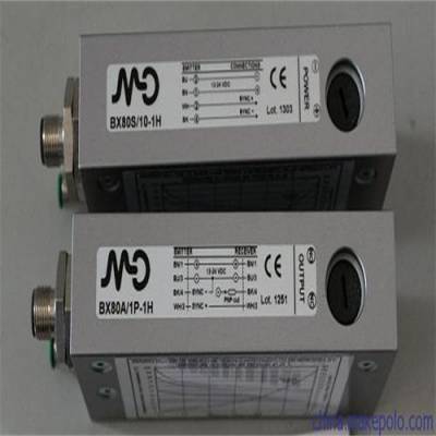 MICRO DETECTORS