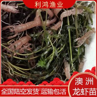 Ϻ硿ҵˮϺ絭ˮֳ  ֳ֧