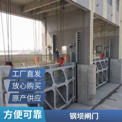 水库用铸铁闸门 资质 齐全 景观水库液压钢坝翻板 规格齐全 钢坝闸门 丰利水工