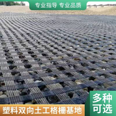 世杰生产40kn沥青路面路基加筋回固双向塑料格栅高强钢塑玻纤格栅