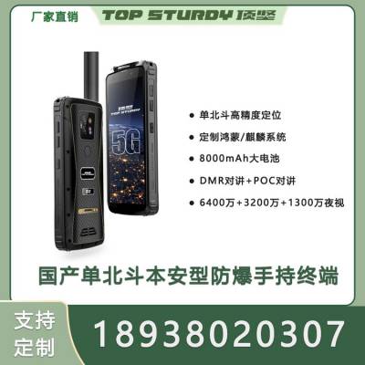 单北斗防爆手持终端DMR对讲+高精度定位+北斗短报文巡检终端厂家