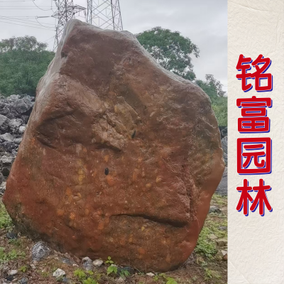 Կֵķ羰ʯѧУſڿʯ СͿʯ   Ǯ