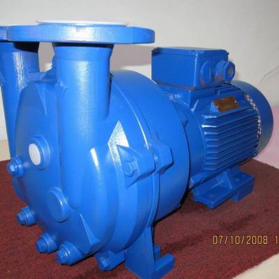 2BV5111ˮʽձ2BV5110ˮձ5.5KWˮձ4.5KWձ