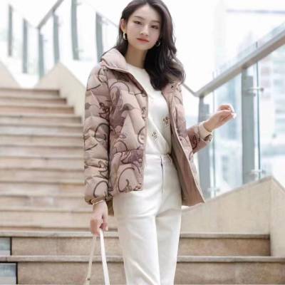 歌蒂雅诗羽绒服国风刺绣品牌 广州羽绒服便宜壹手货源 直播实体（热）卖女装羽绒服