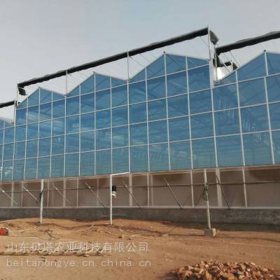 湖北的玻璃温室产品 连栋智能温室 智能玻璃温室造价 贝塔农业