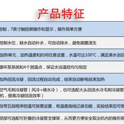 自动控温 加热回流装置 恩计