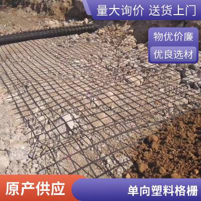 塑料 双向 单 钢塑 玻纤经编涤纶土工格栅 世杰牌支持定规格齐全