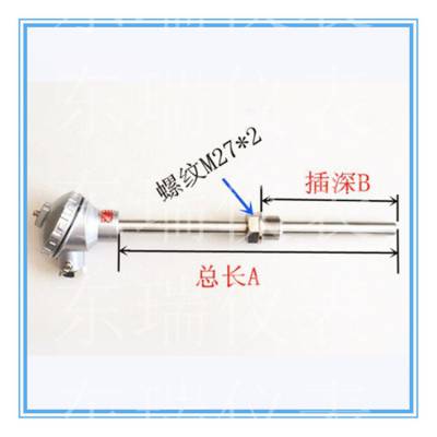 东瑞仪表耐高温环境专用0-1100℃ 不锈钢保护管 多种固定方式 N型热电偶