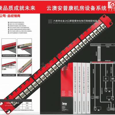 经销商集成商代理商北京云澳渠道 综合布线安普生产厂家北京云澳渠道 AMP网络面板北京云澳渠道 华为重