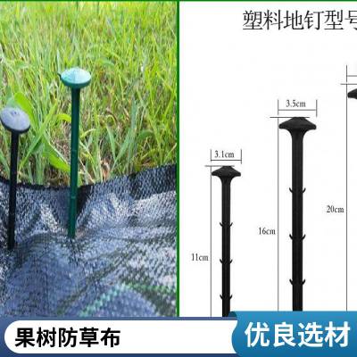 蓝莓园防草布 果树防草地布 厂家定制各种尺寸