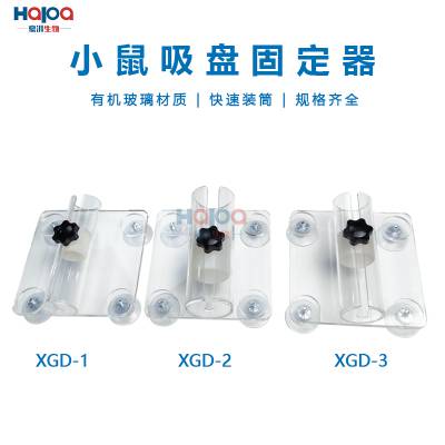 吸盘式单筒小鼠固定器小鼠尾静脉注射实验透明亚克力材质