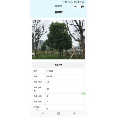 华凌园林树木二维码溯源系统 扫码查看古树名木信息