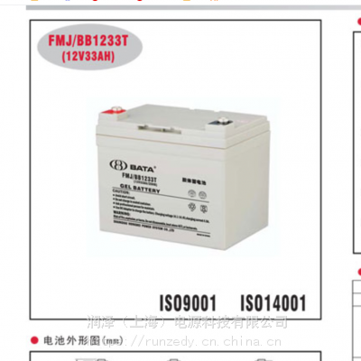 豴FMJ/BB1233Tά12V33AHܴ
