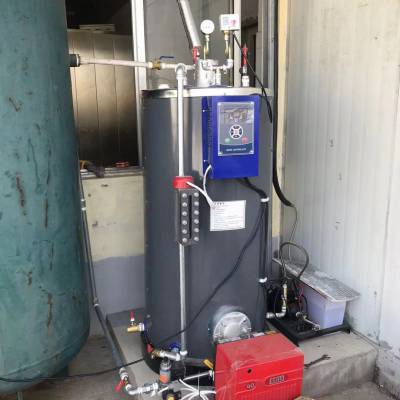 50公斤匠奥燃油燃气蒸汽发生器可用于蒸煮熨烫烘干热水水泥养护