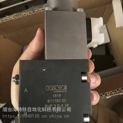 HAWE BVP3S-X24 2ŷ