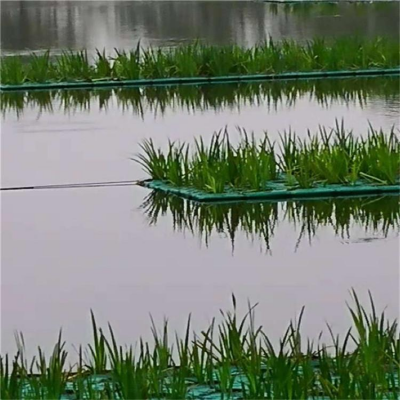 水生植物 人工生态浮岛模具生产厂家 生态浮岛价格 人工浮岛