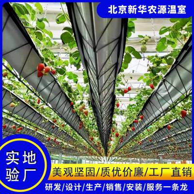 空中草莓设备 空中草莓温室 立体种植草莓 新华农源