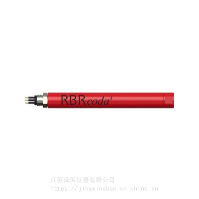 RBR 钻孔监测实时输出水深仪 RBRcoda3 D 压力传感器 ROV集成