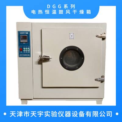 天津天宇仪器DGG-101-1型电热鼓风干燥箱 电热烘箱 工业烤箱