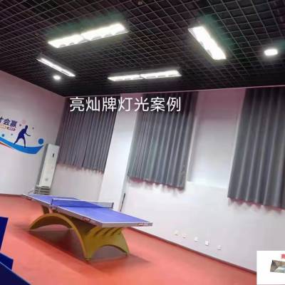 四川 乒乓球馆照明设计 乒乓球馆LED灯批发 价格优惠