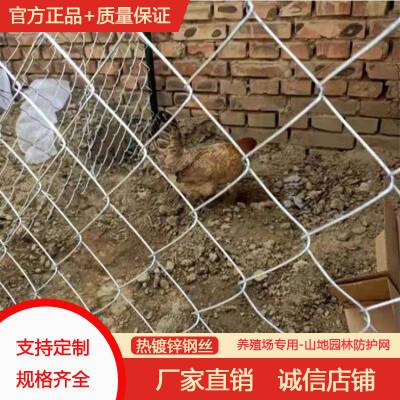 思顺绿化养殖防护网 铁丝围栏 圈羊牛猪编织网 勾花防护围网