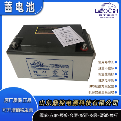 LEOCH理士DJW12-5.0密闭式铅酸蓄电池12V***H机械手臂UPS电源