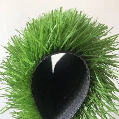 ׶԰ƺ ɰŲƺ ˶ƺ