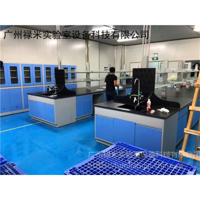 生产化验室全钢结构中央实验台配套安装