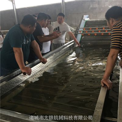 瓜果清洗机/水果大枣清洗机/食品级不锈钢制造/坚固耐用/高效率