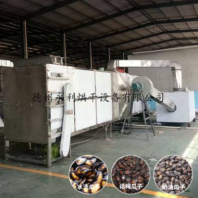 新品抢先 水洗西瓜子烘干机 不锈钢食品干燥设备