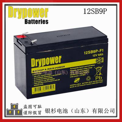 原装Drypower蓄电池12SB9P-F1主机UPS不间断电源内置12V-9AH储能铅酸电池