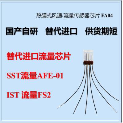 ĤʽоƬSXBW FA04 AFE-01 Ա ist fs2  sst