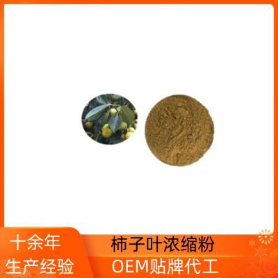 柿子叶浓缩粉 高比例浓缩卒取 水溶性好 无杂质 附带质检