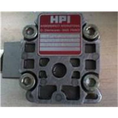 清仓HPI齿轮泵P1BAN2030HV10B02N