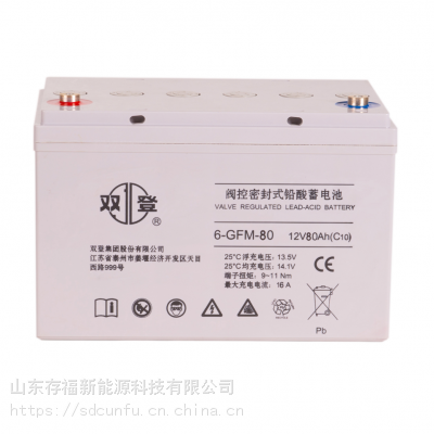 双登蓄电池6-GFM-26阀控式密封铅酸免维护12V26AH应急电源UPS削峰填谷