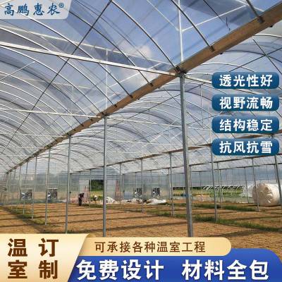 宕昌县芍药日光大棚施工方案