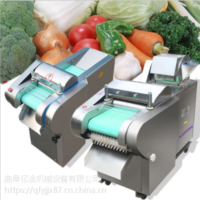 黄姜切丝机 电动土豆切丝机 大萝卜切块机 离心式切菜机报价