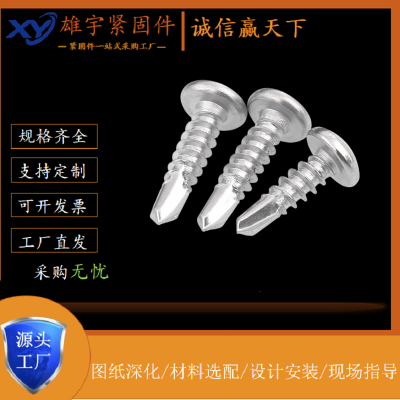 华司头自攻自钻螺丝钉不锈钢钻尾螺丝410彩钢瓦自攻钉ST4.8