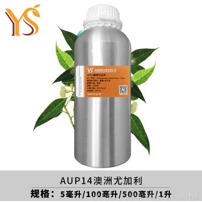 澳洲尤加利单方精油香薰YS垣鑫进口原料批发AUP14