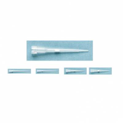 Thermo ART 10 REACH 10?l оӳͷ ޾ 2140